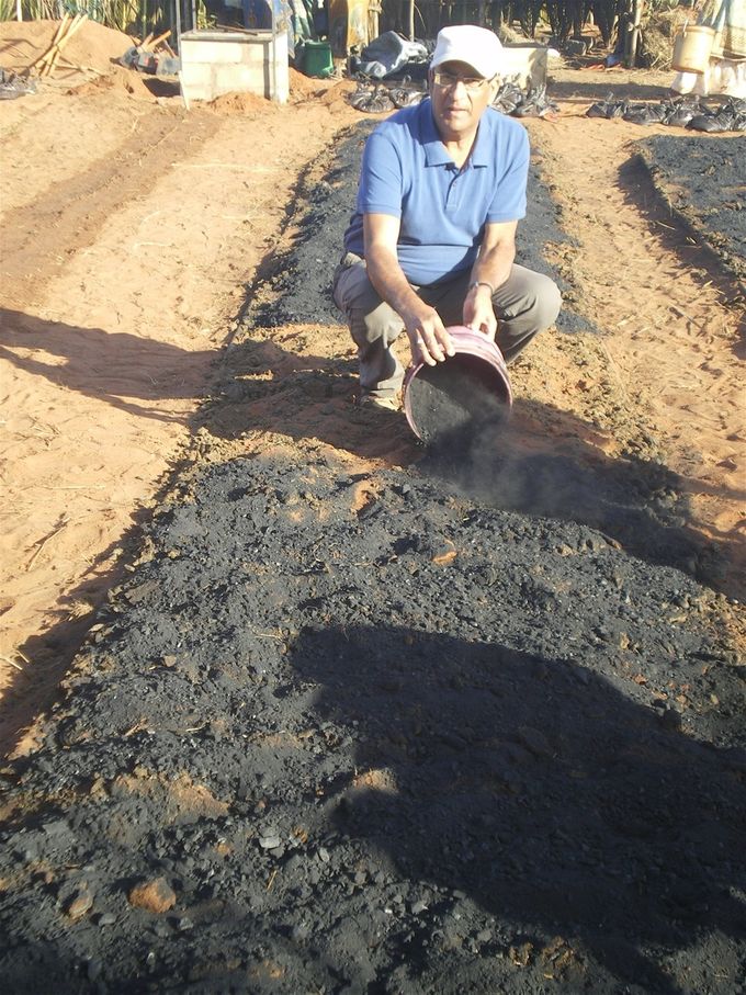 Biochar: an enhancer, a superabsorbent and a soil reconstructive agent.                 Le biochar : un amendement, un hydro-rétenteur et un restructurateur du sol