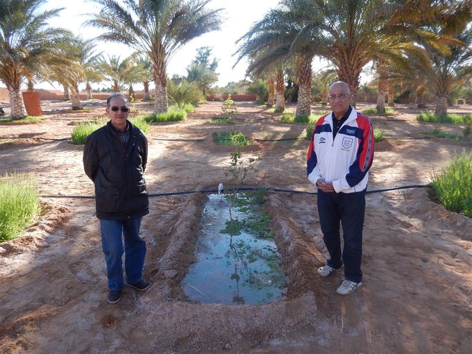 Professeur Abdelkader Bekki Directeur du Laboratoire de Biotechnologie des rhizobiums et amélioration des plantes (LBRAP) Université d'Oran 
