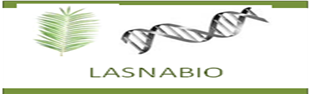 Laboratory of Natural Substances and Bioactive (LASNABIO)-Tlemcen University