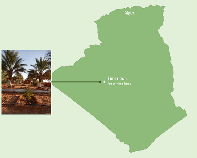 MICRO-FERME ECOLOGIQUE ET INNOVANTE LA CLE DES OASIS KSAR DE BADRIANE TIMIMOUN Un système de cultures multi-étagées ou de strates de cultures