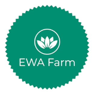 EWA GROUP . France -Maurice